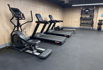 216 East state gym with treadmills and elliptical machines.